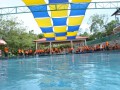 Tn DSC 4584